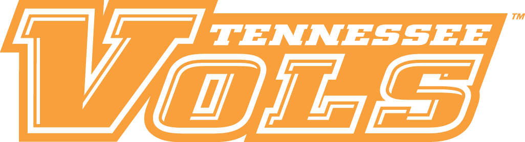 Tennessee Volunteers 2005-Pres Wordmark Logo v3 DIY iron on transfer (heat transfer)